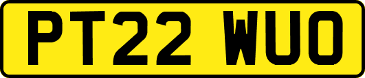 PT22WUO