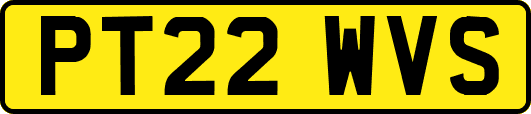 PT22WVS
