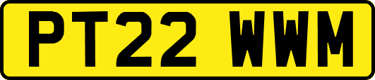 PT22WWM