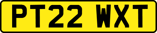 PT22WXT
