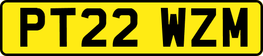 PT22WZM