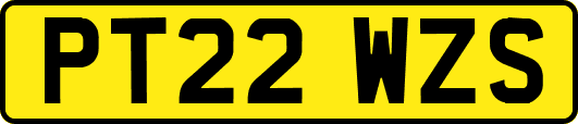 PT22WZS