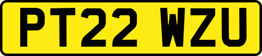 PT22WZU