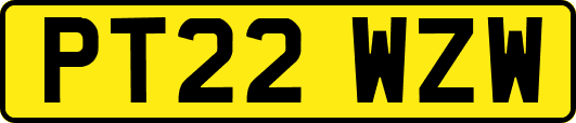 PT22WZW