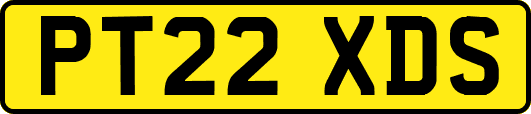 PT22XDS