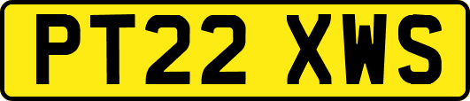 PT22XWS