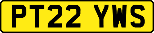 PT22YWS