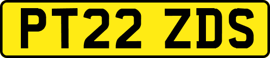 PT22ZDS