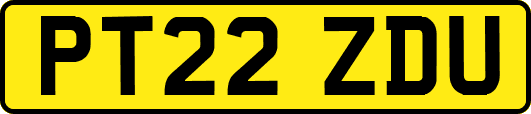 PT22ZDU