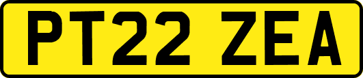 PT22ZEA