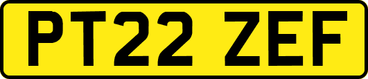 PT22ZEF
