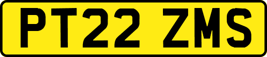 PT22ZMS