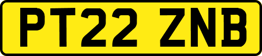 PT22ZNB
