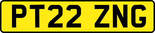 PT22ZNG