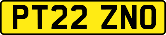PT22ZNO