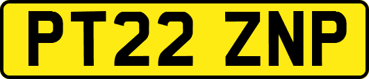 PT22ZNP