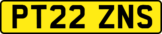 PT22ZNS