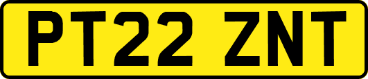 PT22ZNT