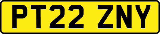 PT22ZNY