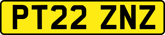 PT22ZNZ