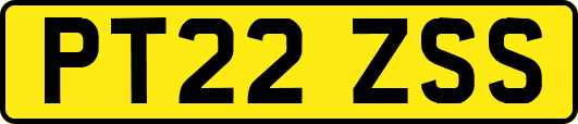 PT22ZSS