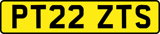 PT22ZTS