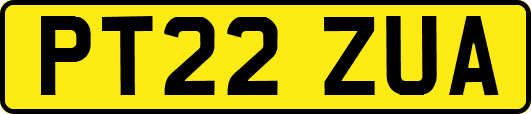 PT22ZUA