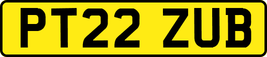 PT22ZUB