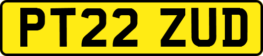 PT22ZUD