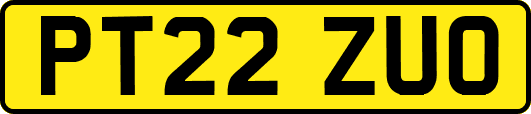 PT22ZUO