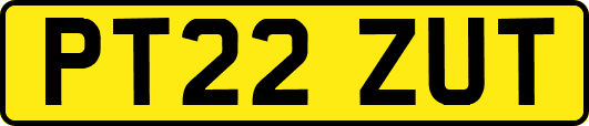 PT22ZUT