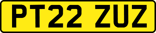 PT22ZUZ