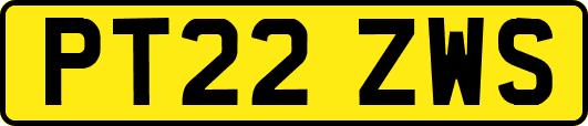 PT22ZWS