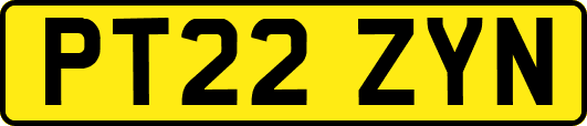PT22ZYN