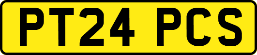 PT24PCS