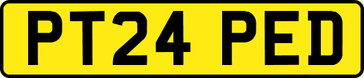 PT24PED