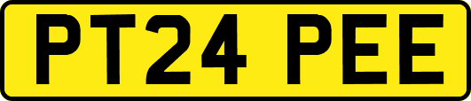 PT24PEE