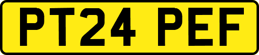 PT24PEF