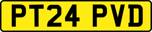 PT24PVD