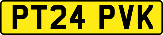 PT24PVK