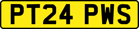 PT24PWS