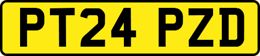 PT24PZD