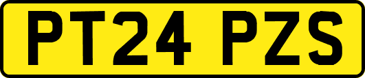 PT24PZS
