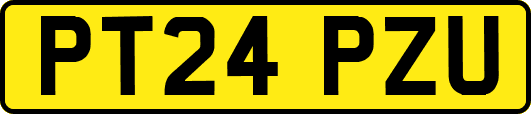 PT24PZU