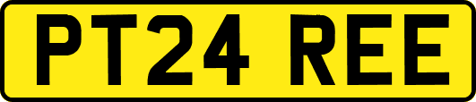 PT24REE