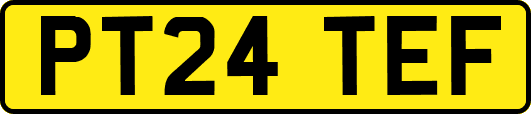 PT24TEF