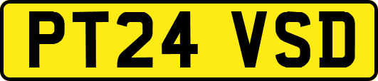 PT24VSD