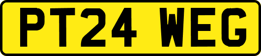 PT24WEG
