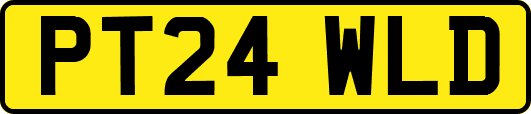 PT24WLD