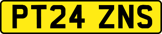 PT24ZNS